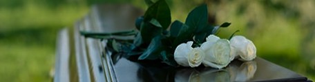 郑州生态葬花坛葬