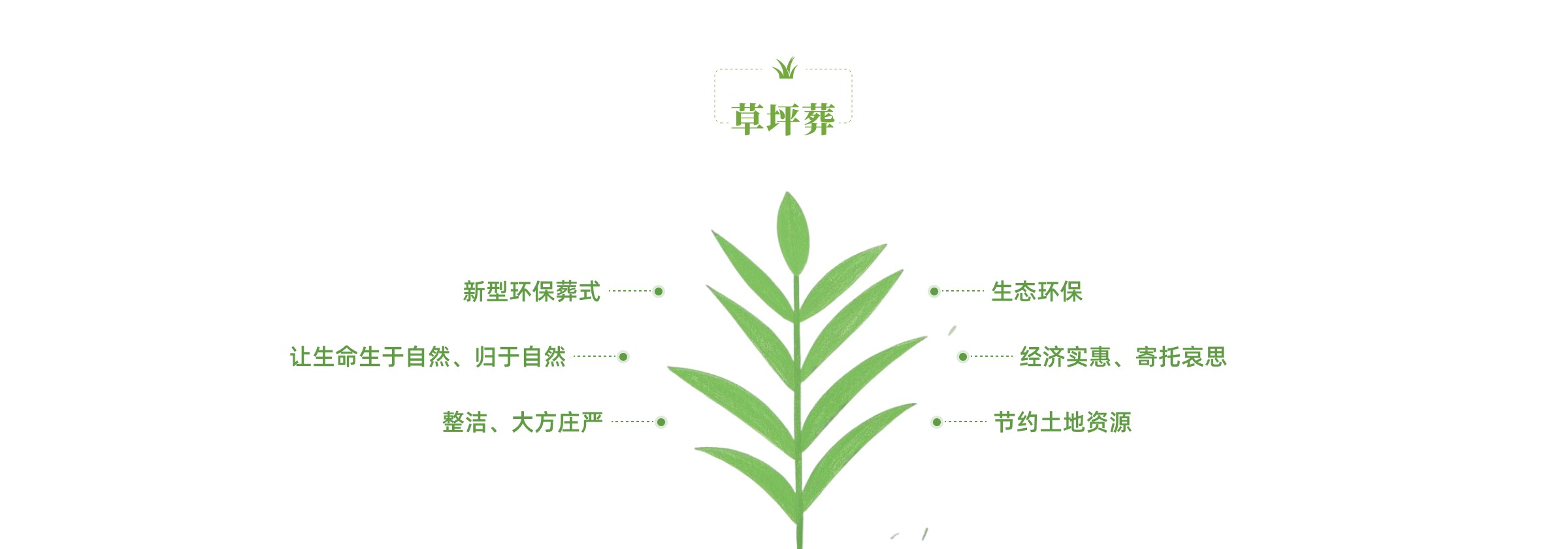 草坪葬优势