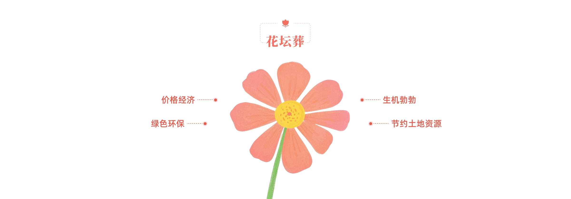 花坛葬优势