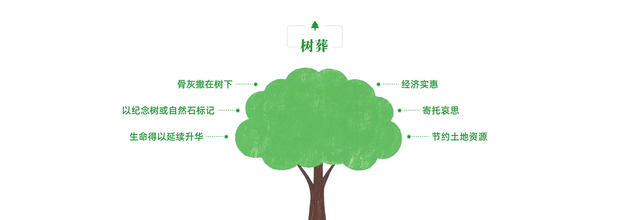 树葬优势