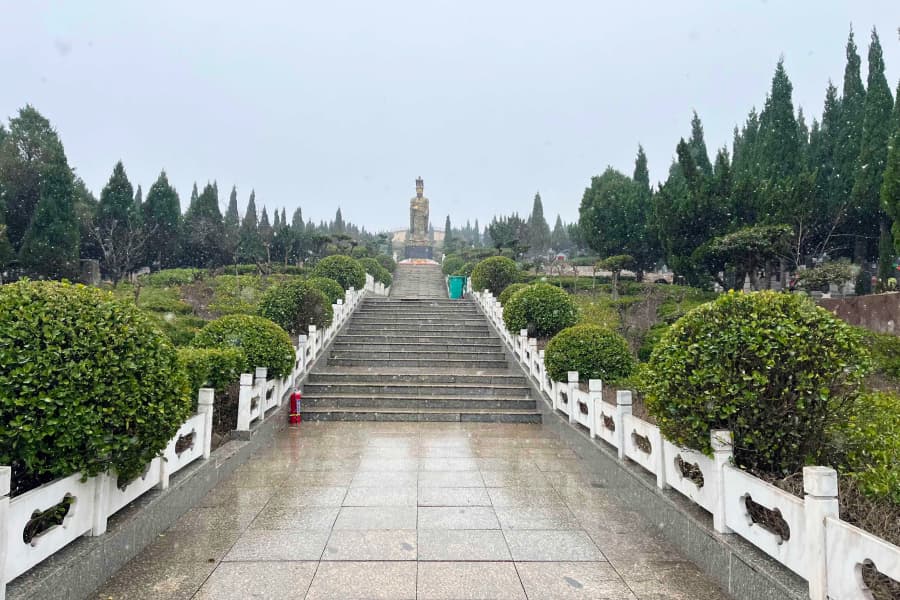 实拍景观