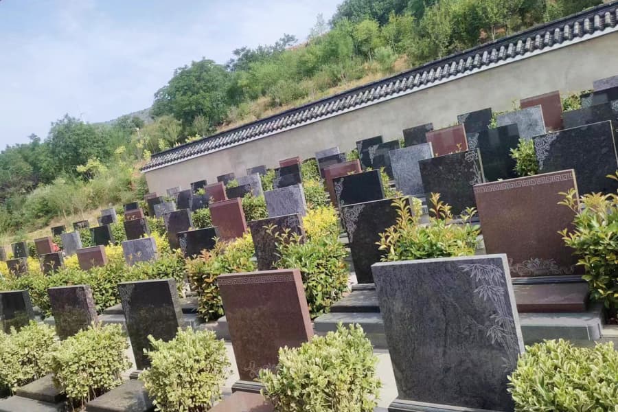 实拍景观