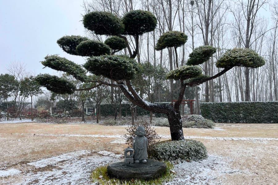 实拍景观