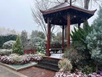 实拍景观