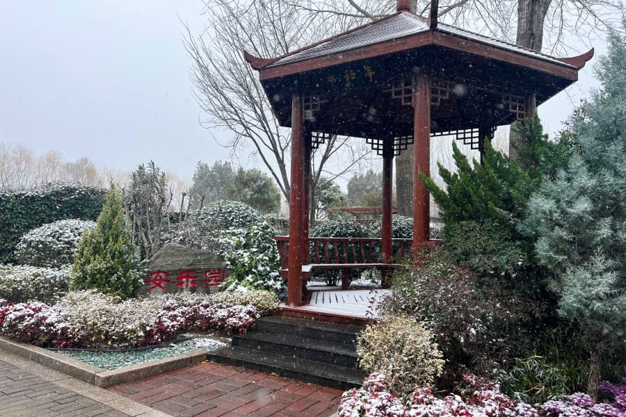实拍景观