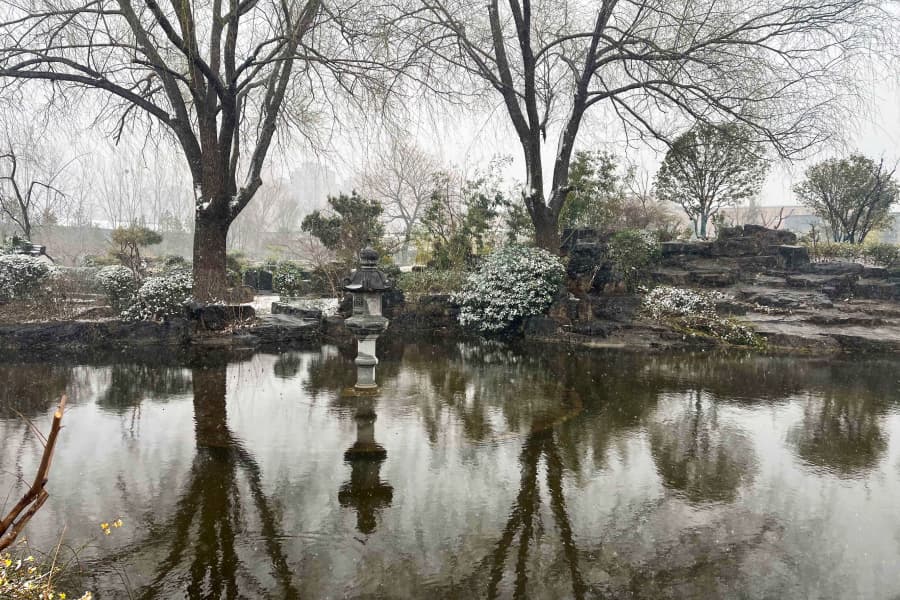 实拍景观