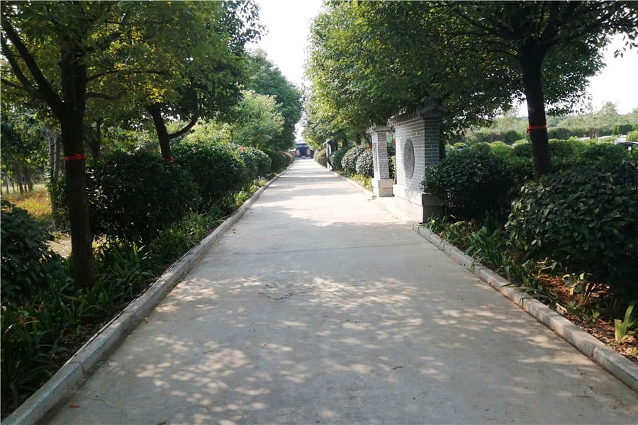 实拍景观