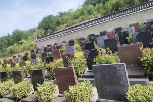墓区环境图