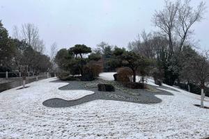 园区景观图