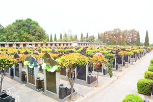 墓区环境图
