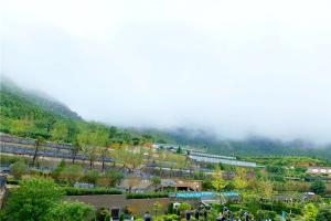 园区景观图