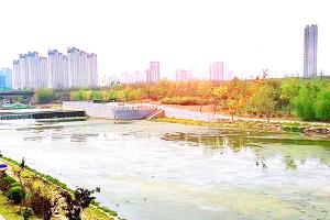 园区湖景图