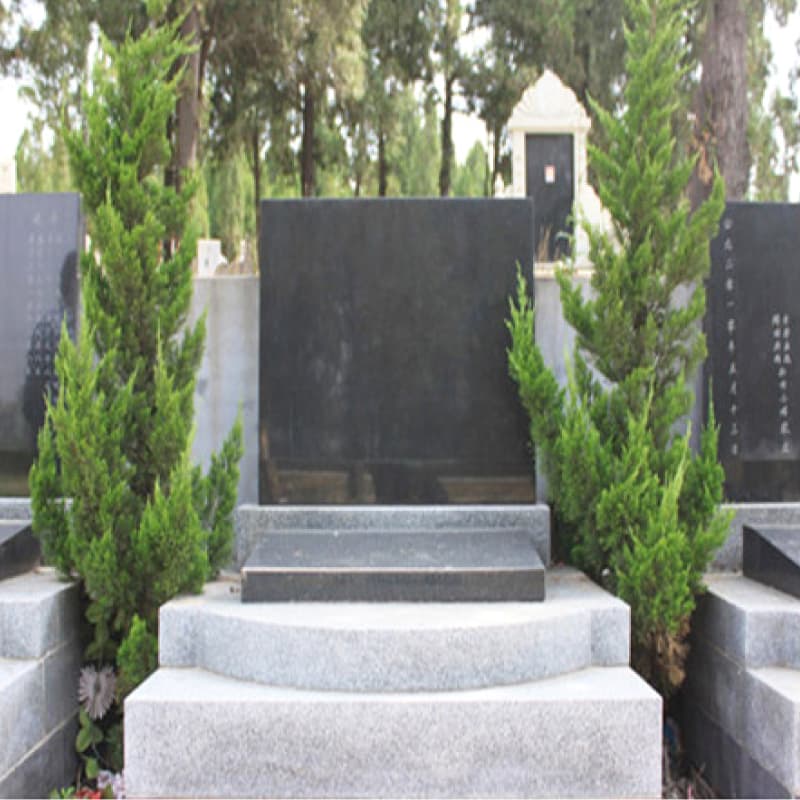 Group 1.jpg