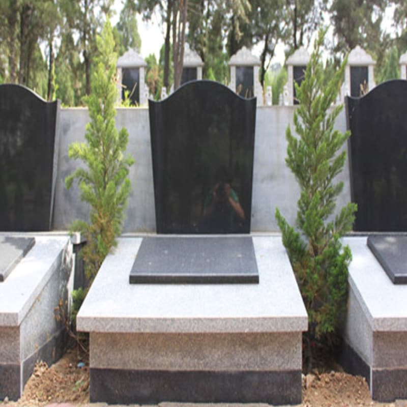 Group 2.jpg